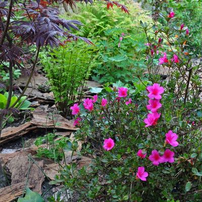 Ma conception du jardin