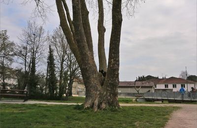 Paysage avec photographe caché ...