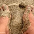 La plage, c'est le pied !!!!