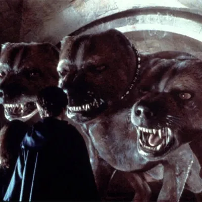 Harry Potter à l'école des Sorciers (2001) part 3