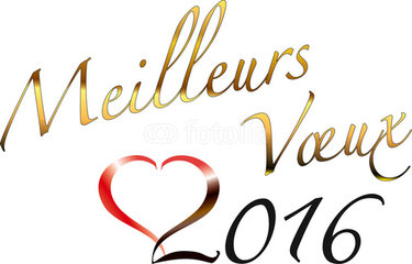 Bonne année 2016