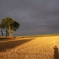 Lumière du soir sur la Bretagne