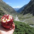 Pomme à la montagne #1