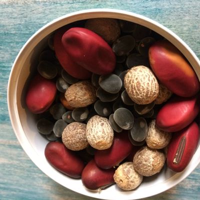 Ajouter du peps à ses créations avec des graines naturelles!