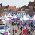 Dimanche 8 mai 2016 - HONDSCHOOTE - 4 jours de Dunkerque 4