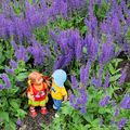 Bénédicte et Benjamin dans la forêt de fleurs