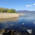 Nous avons grandi près d'un lac....