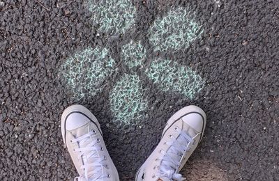 Cette semaine au collège... saison 17 (0)