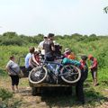 Du cirque et des chauves-souris a Battambang