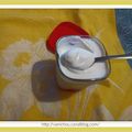 MULTIDELICES : yaourts à la confiture maison