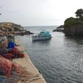 Promenade à la presqu'île du gaou