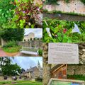 Le Jardin de Salomé , un jardin intimiste au cœur de Bayeux