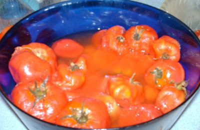 Croustillants de tomates