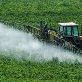 Interdiction des pesticides : la France en fait-elle trop ?