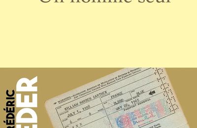 Frédéric Beigbeder - Un homme seul