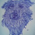 Illustration chien au stylo Bic