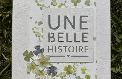 Album "une belle histoire" 2 nouvelle version