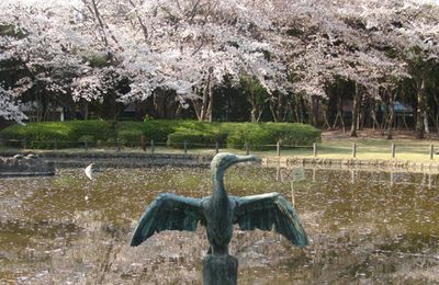 Chiba Minato koen