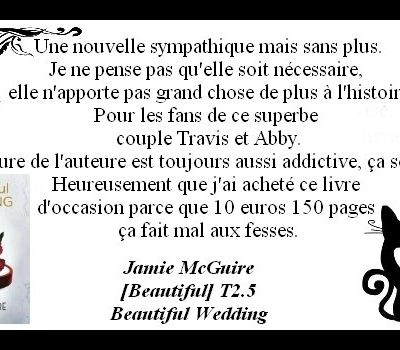 Avis : Jamie McGuire - [Beautiful] - T2.5 - Beautiful Wedding