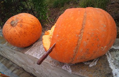 Gâteau pomme potiron