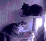 M-And-Co un monde créatif