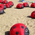 coccinelles de plage...