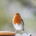 Bonjour Robin !