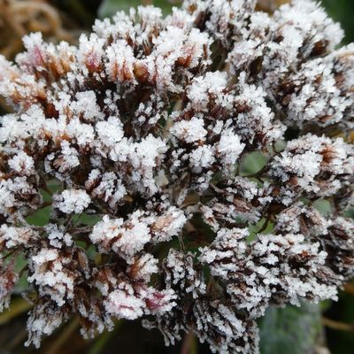 Photos du Dimanche !