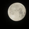 La lune hier soir......