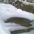 la neige et le froid sur le bassin