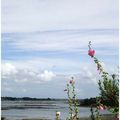 Vue sur le golf du Morbihan