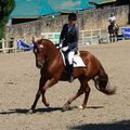 Finale jeunes chevaux CCE Pompadour - septembre 2008