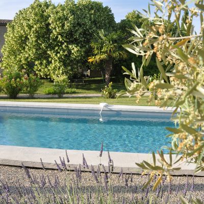Un été au Mas en Provence
