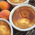 PETITES FLOGNARDES AUX ABRICOTS