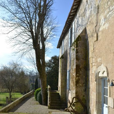 Jardinage : premiers gros travaux !