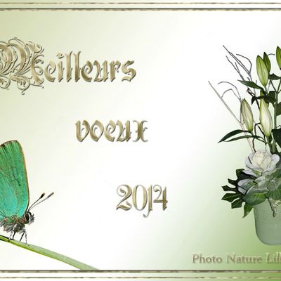 Bonne année 2014