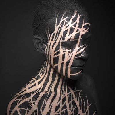 « Un soir dans les arbres »