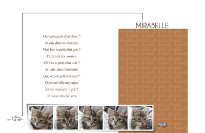 Mirabelle