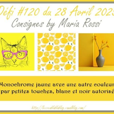 Défi #120 du 28 avril 2025