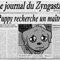 Puppy recherche un maître