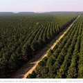 Réchauffement climatique