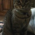 [GRIF' Abrite] Cerise confie sa famille à Capucine...