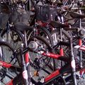 Location de vélos/ Bicycles hire : Chez Cathare Marine, Zone industrielle de Truihas 11590 Salleles d'Aude. 
