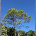 Petit coin de ciel du Lundi 07 Août