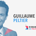 DIMANCHE EN POLITIQUE SUR FRANCE 3 N°134 : GUILLAUME PELTIER