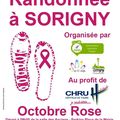 Rando octobre rose à Sorigny