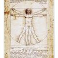 Léonard de Vinci : le génie des sciences !