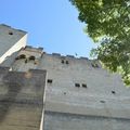 [Drôme] la tour de Crest