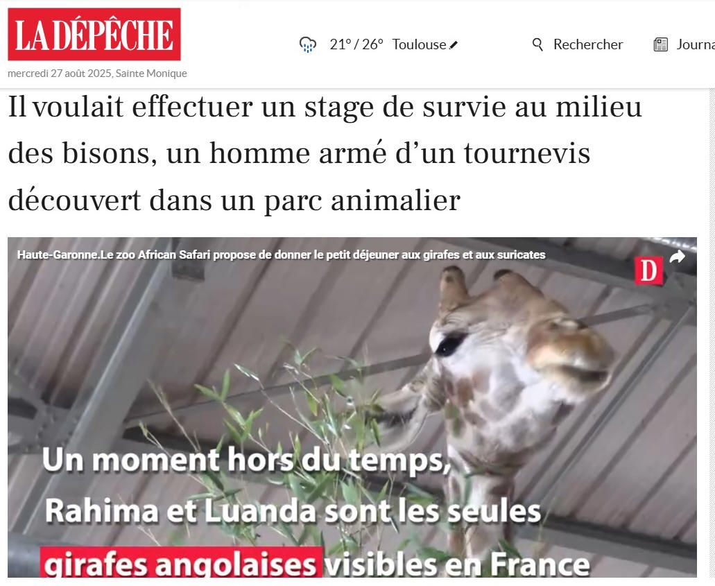 survivre dans un parc animalier