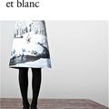 Un lac immense et blanc